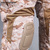 Multicam Coyote